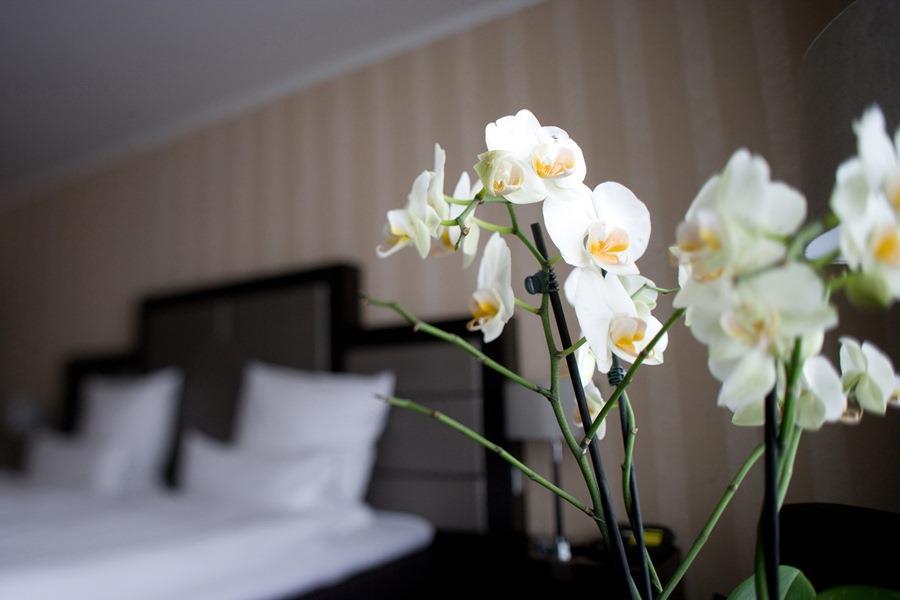 Top Hotel Kraemer Koblenz  Cameră foto